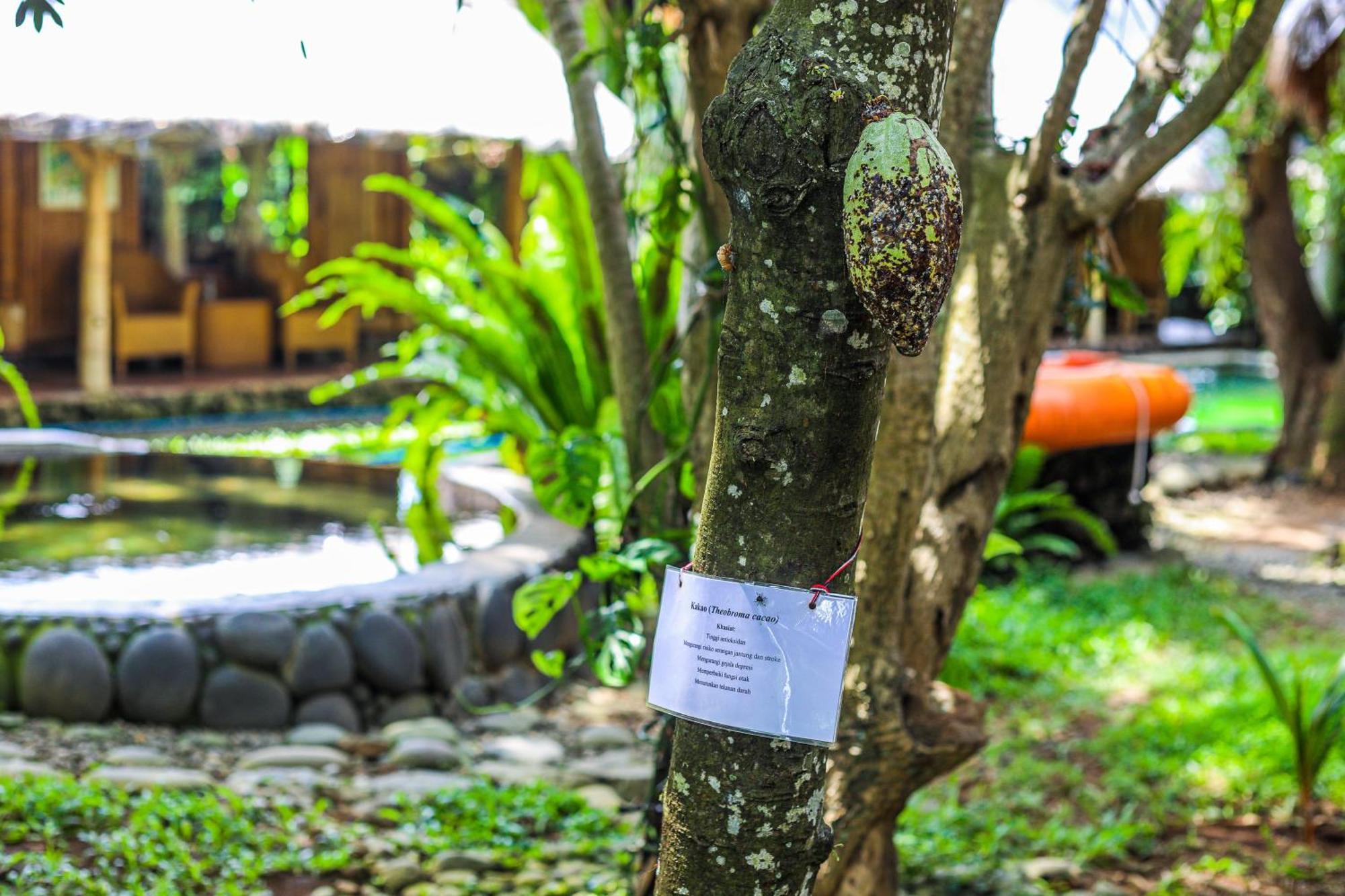 Omunity Bali Hotell Singaraja Exteriör bild
