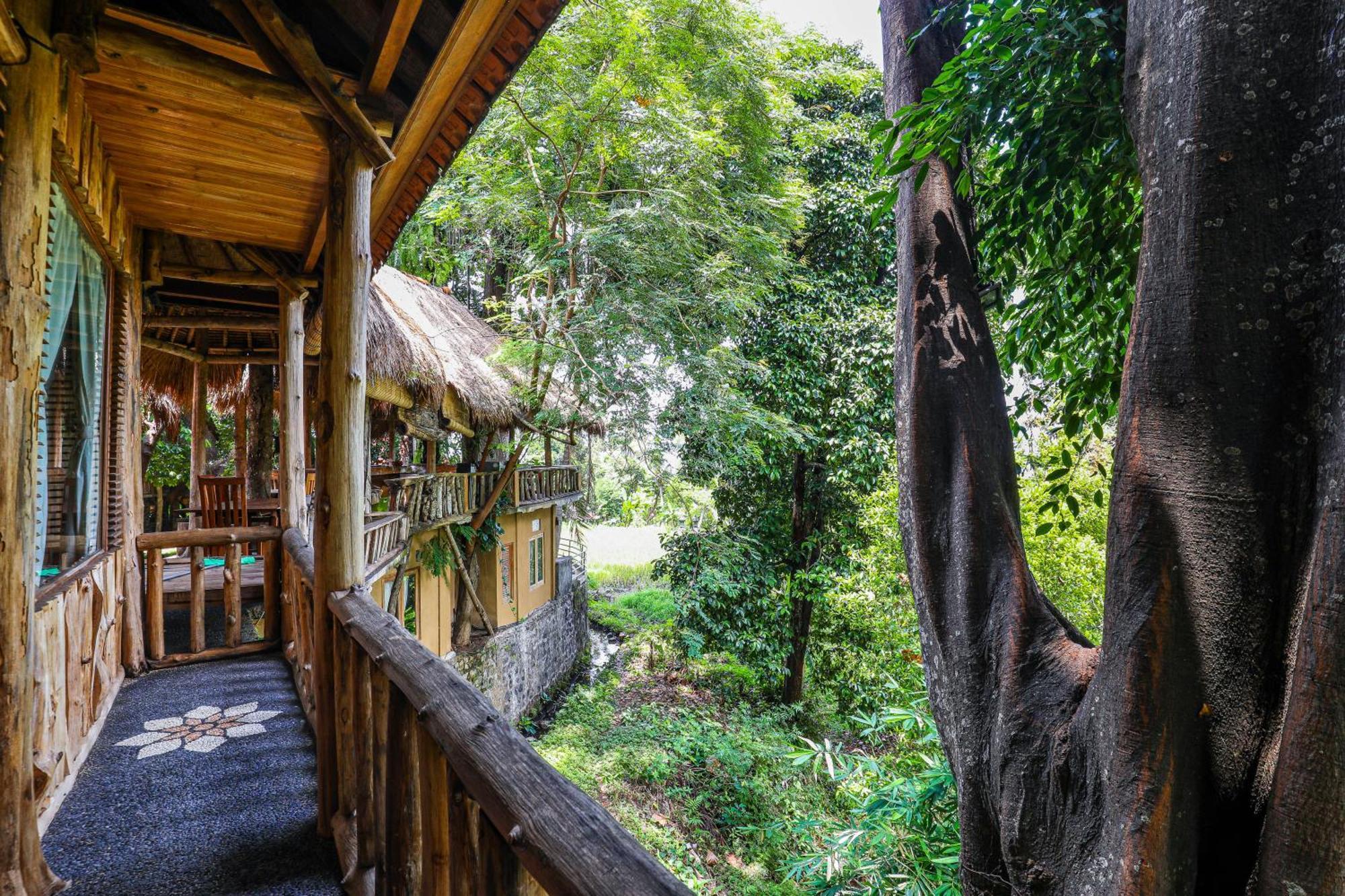 Omunity Bali Hotell Singaraja Exteriör bild