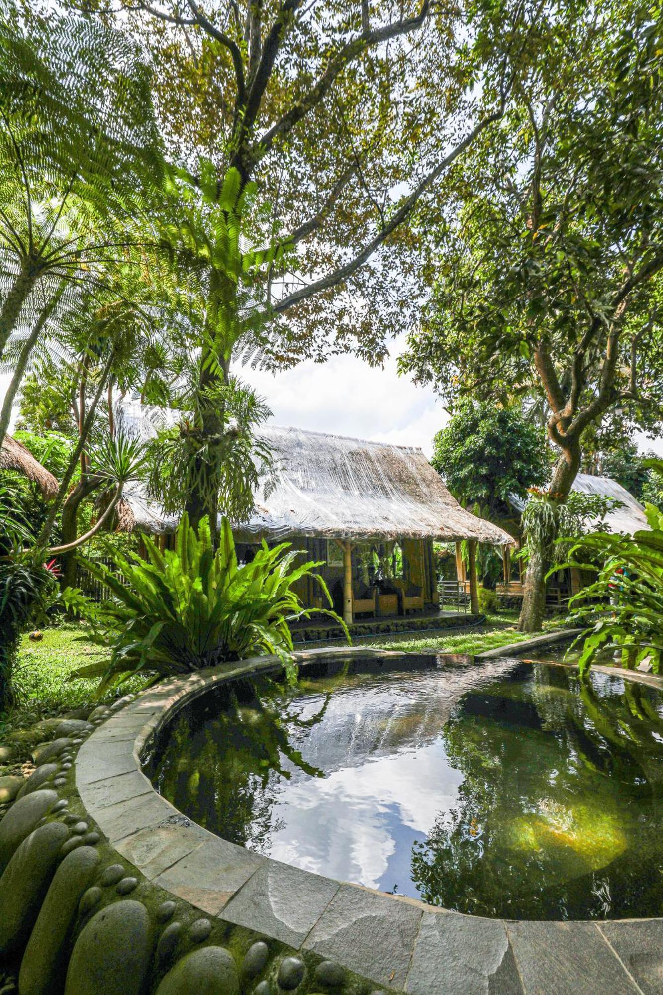 Omunity Bali Hotell Singaraja Exteriör bild